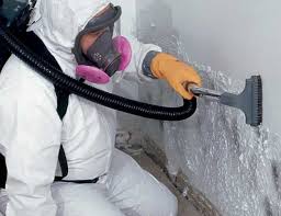 Best Mold Remediation for Healthcare Facilities in Vinita, OK